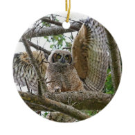 Baby Owl Picture Ornaments