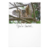 Baby Owl Picture Personalized Announcement