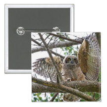 Baby Owl Picture Pinback Buttons