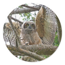 Baby Owl Picture Stickers