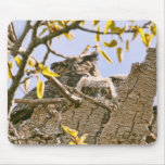 Baby Owls and Mother Owl in a Nest Mouse Pad