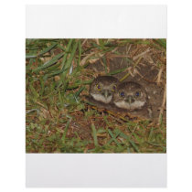 Baby Owls letterhead by Debrene Baby Owls letterhead