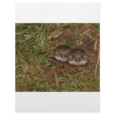Baby Owls Personalized Letterhead by Debrene