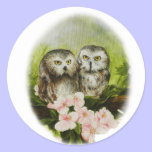 Baby Owls painting on customizable products stickers