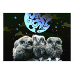 Baby Owls Under The Moonlight Announcements