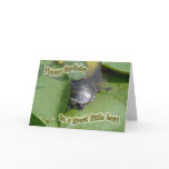 Baby Painted Turtle Birthday for Boy Greeting Cards