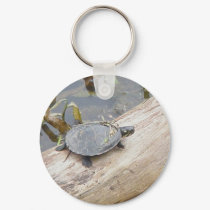 Baby Painted Turtle Keychain by CarolsCamera Baby Painted Turtle Keychain