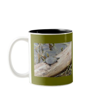 Baby Painted Turtle Mug by CarolsCamera