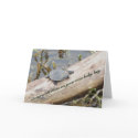 Baby Painted Turtle New Baby Boy Card by CarolsCamera Baby Painted Turtle New Baby Boy Card