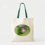 Baby Painted Turtle on Lilypad Items Canvas Bags