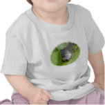 Baby Painted Turtle on Lilypad Items Shirt