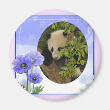 baby-panda-00089-85x85 magnets