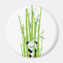 Baby Panda in Bamboo Forest Fridge Magnets