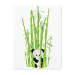 Baby Panda in Bamboo Forest Postcard