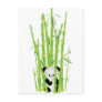 Baby Panda in Bamboo Forest Postcard