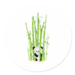 Baby Panda in Bamboo Forest Round Stickers
