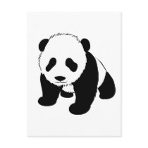 Baby Panda Post Card