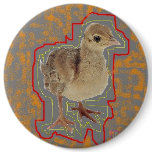 Baby Peacock Baby Peacock