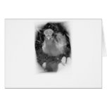 Baby peacock chick standing in a hand cards