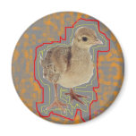 Baby Peacock Graffiti