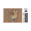 Baby Peacock stamp