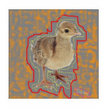 Baby Peacock