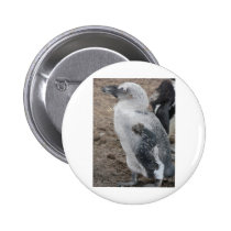 baby penguin buttons