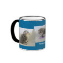 Baby Persian Mug