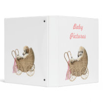 Baby Pictures binders