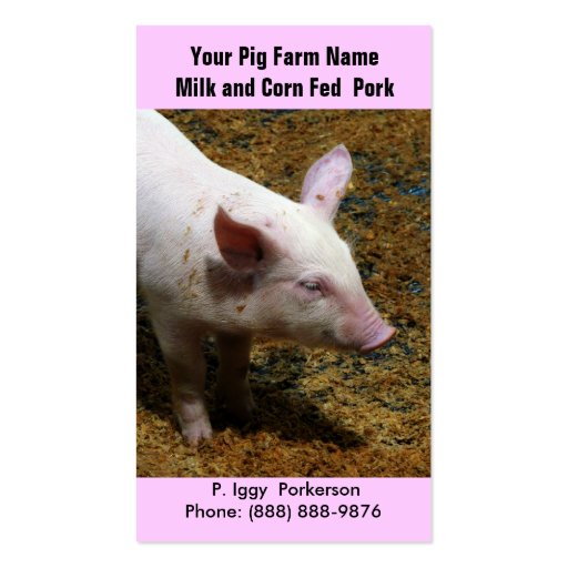 Baby Pig for Pork  Farming Business Card (front side)