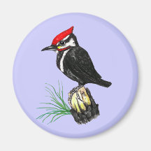 Baby Pileated Woodpecker Magnet