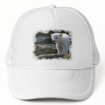 Baby Polar Bear Baseball Hat