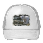 polar bear, polar bear cub, bear cub, polar, bear, zoo, animal, white bear, white polar bear, arctic bear, arctic, cub, cubs, bear cubs, mammal, bears