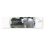 Baby Polar Bear Bumper Sticker
