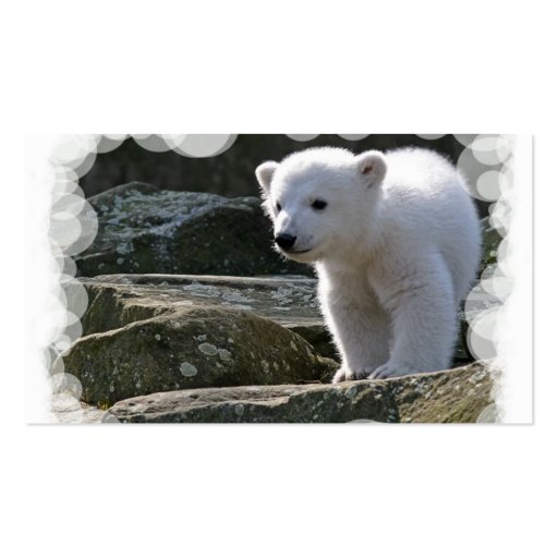 Baby Polar Bear Business Card (back side)