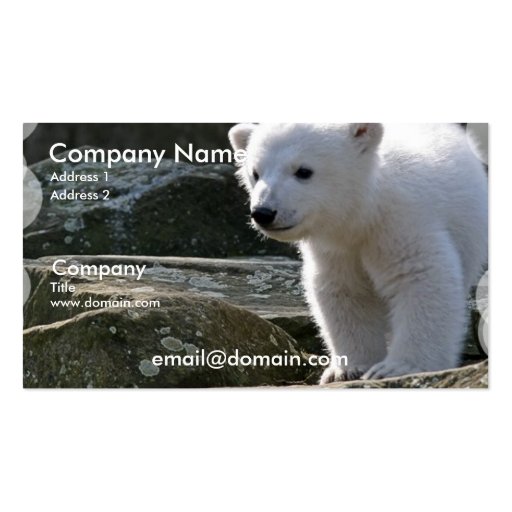Baby Polar Bear Business Card (front side)