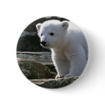 Baby Polar Bear Button
