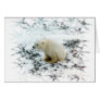 baby polar bear card