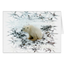 baby polar bear cards by churchto12 baby polar bear cards