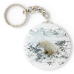 baby polar bear keychain