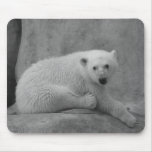 Baby Polar Bear Mousepad