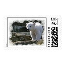 Baby Polar Bear Postage Stamp
