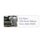 Baby Polar Bear Return Address Label