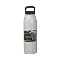 Baby Polar Bear Water Bottle