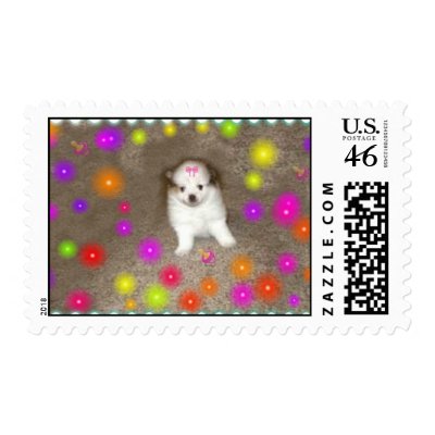 Baby Pomeranian Postage by deesbasenjis