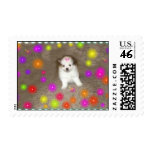 Baby Pomeranian Postage postage