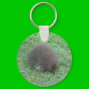 Baby Porcupine keychains