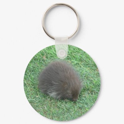 Baby Porcupine Keychains by jtgauntt
