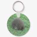 Baby Porcupine keychains