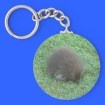 Baby Porcupine keychains